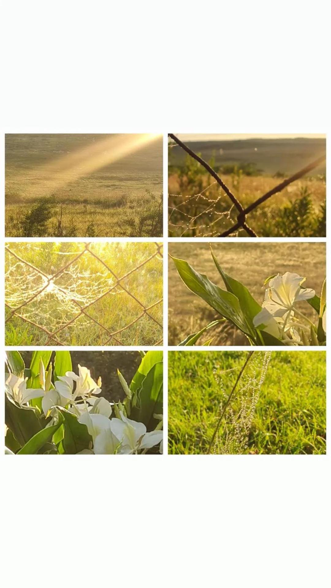 Mosswood Bed & Breakfast Graskop Bagian luar foto