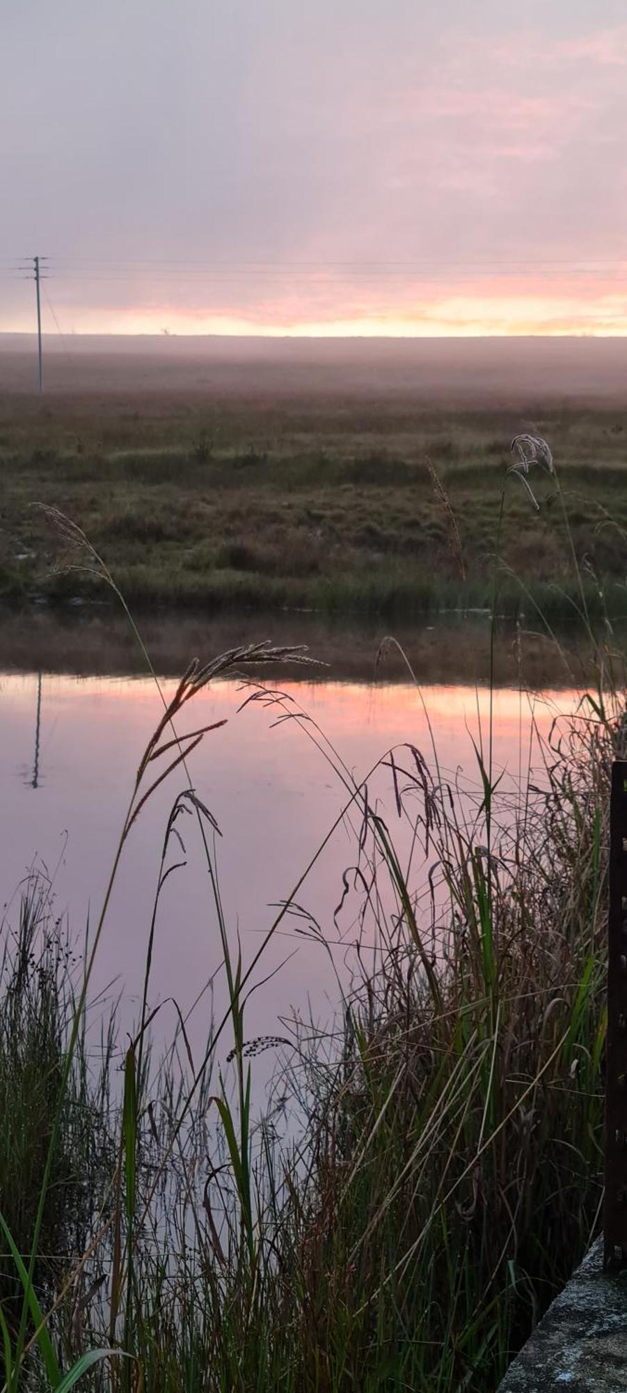 Mosswood Bed & Breakfast Graskop Bagian luar foto