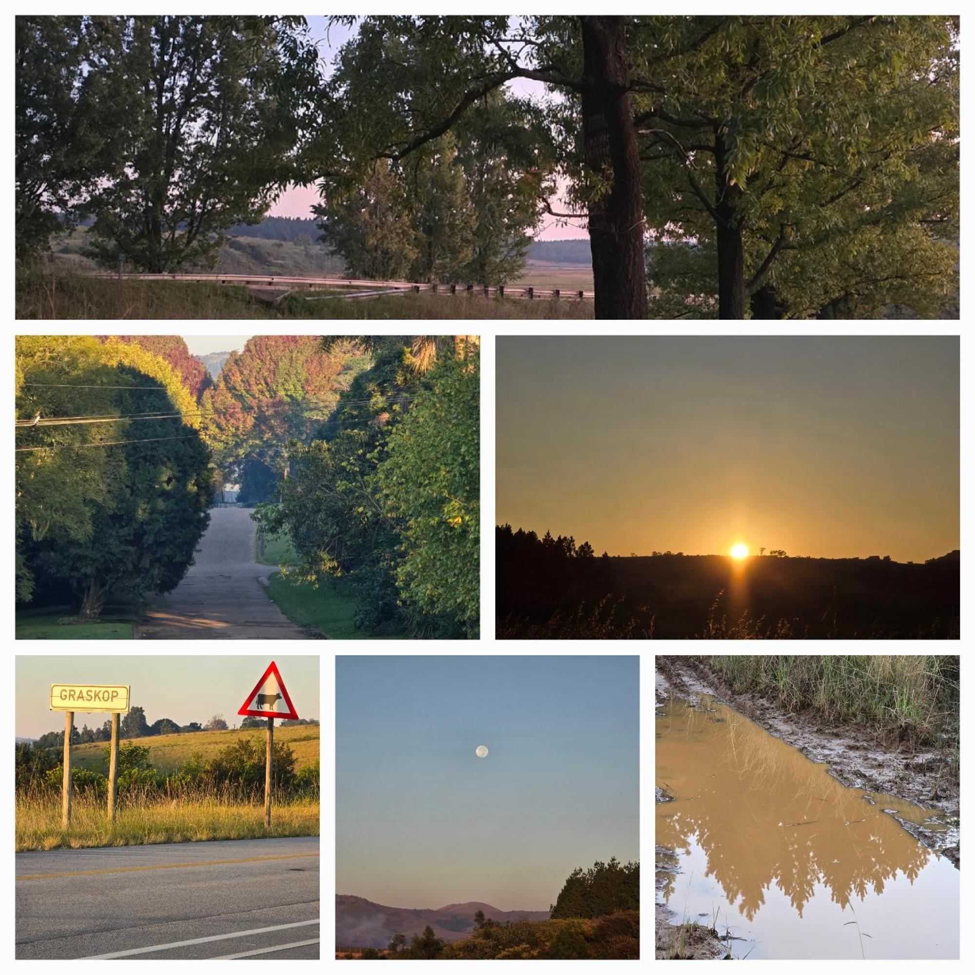 Mosswood Bed & Breakfast Graskop Bagian luar foto