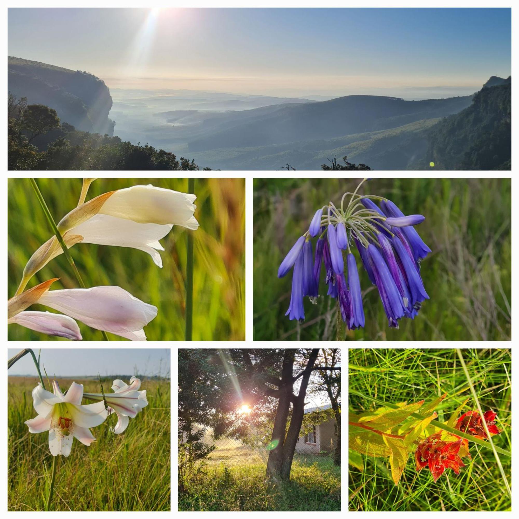 Mosswood Bed & Breakfast Graskop Bagian luar foto