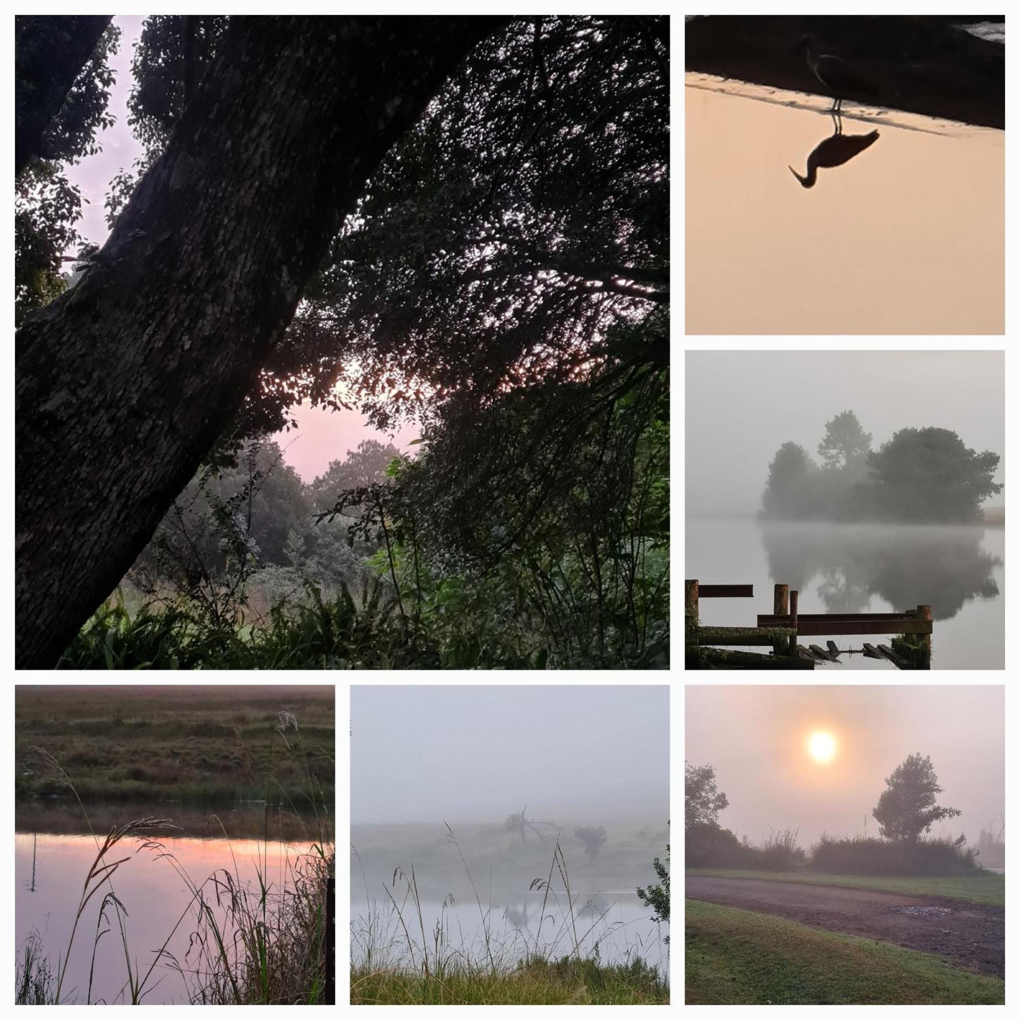 Mosswood Bed & Breakfast Graskop Bagian luar foto