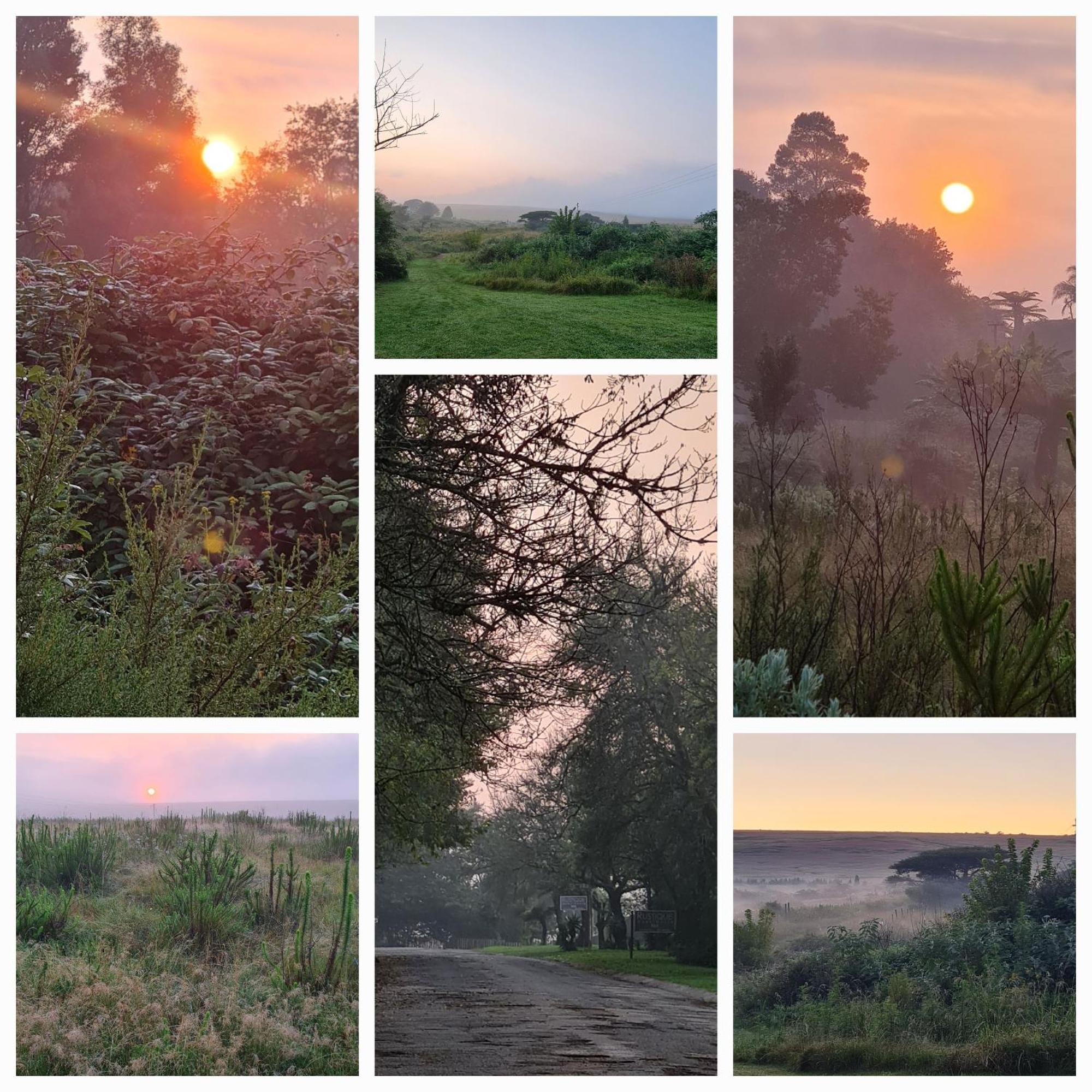 Mosswood Bed & Breakfast Graskop Bagian luar foto