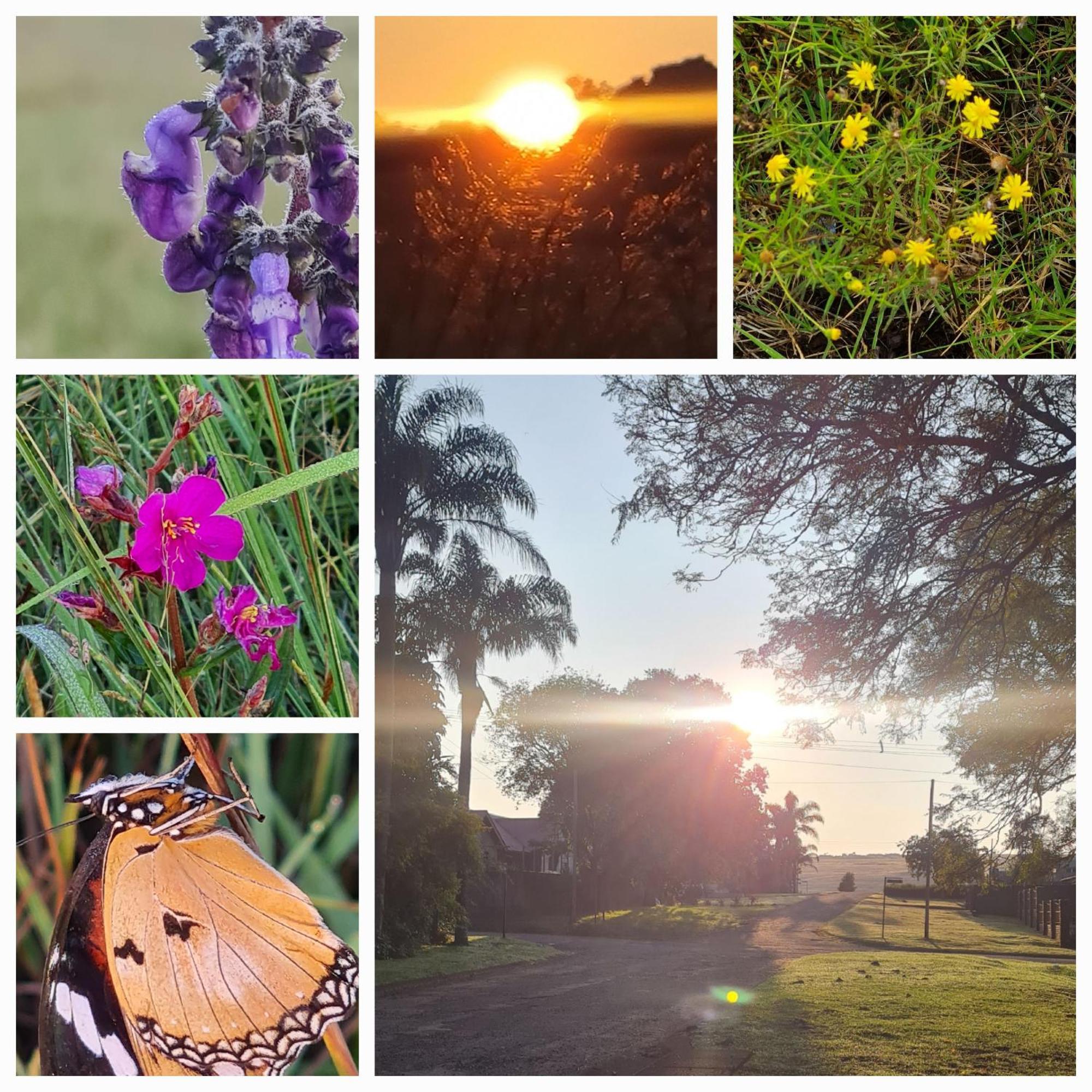 Mosswood Bed & Breakfast Graskop Bagian luar foto