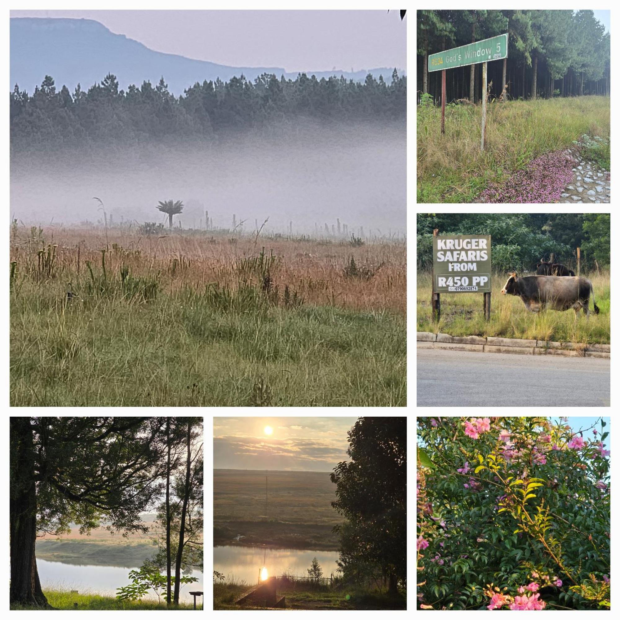 Mosswood Bed & Breakfast Graskop Bagian luar foto
