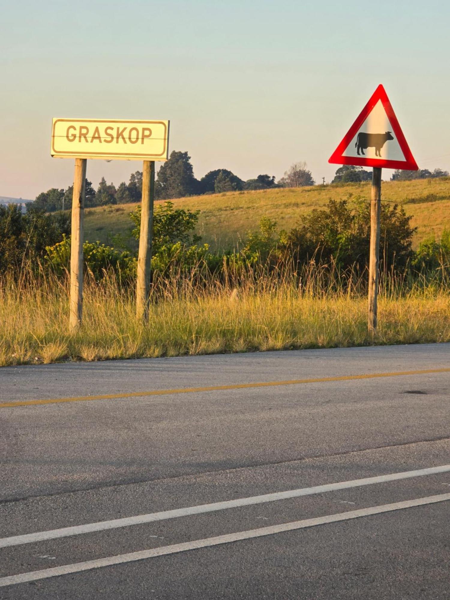 Mosswood Bed & Breakfast Graskop Bagian luar foto